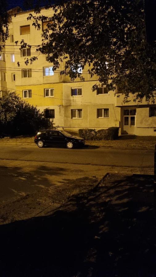 Maxx Apartment Bacău